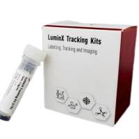 STEM CELL、MSC Tracing Kit/干细胞、间充质干细胞示踪试剂盒