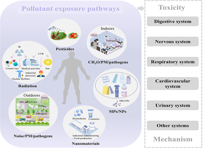 多学科交叉研究:暴露组学(Exposomics)/健康效应课