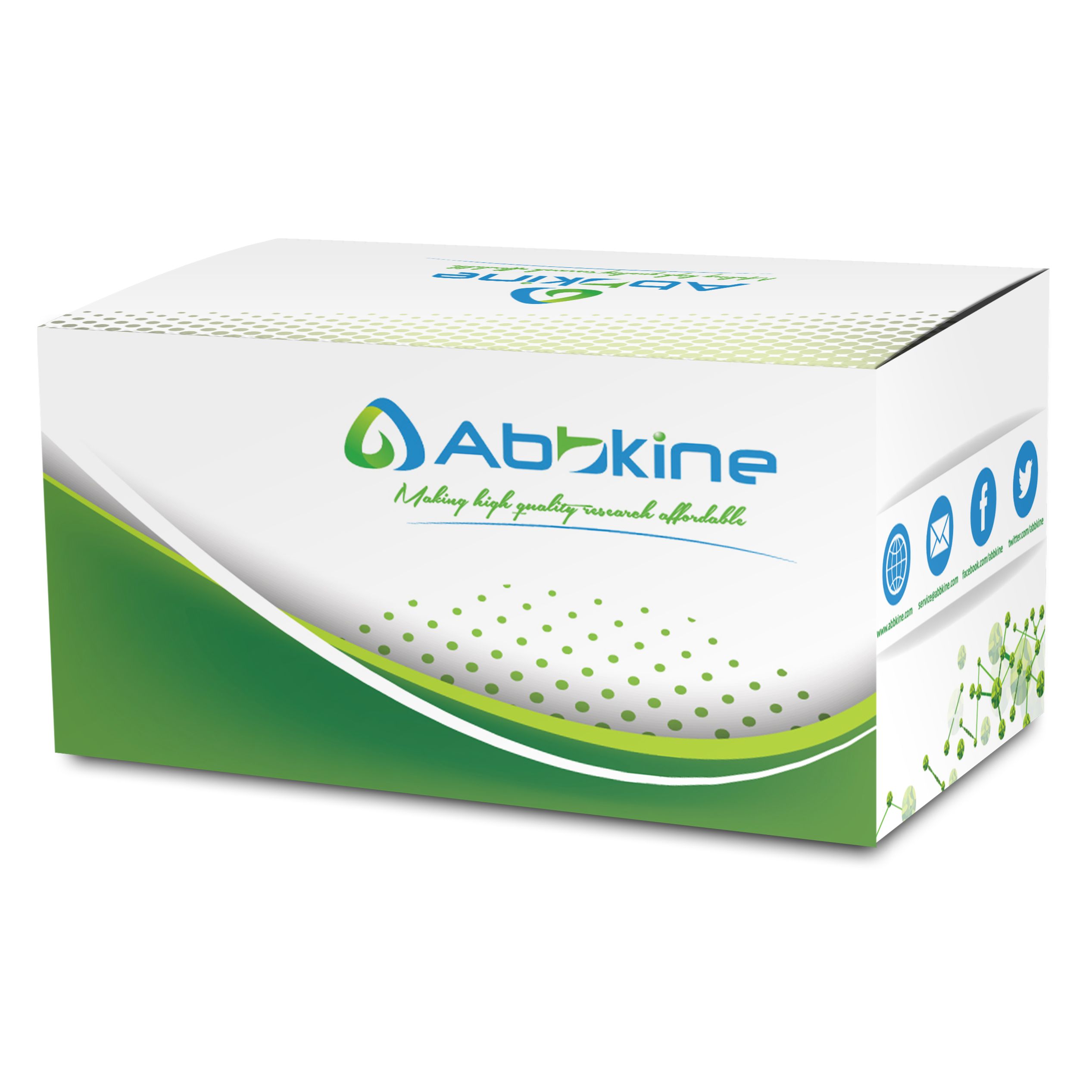 SuperKine™ 超快蛋白胶染色液(考马斯亮蓝)