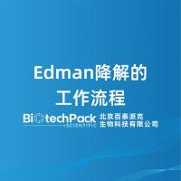 Edman降解的工作流程