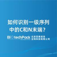 如何识别一级序列中的C和N末端?