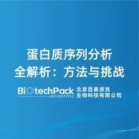 蛋白质序列分析全解析:方法与挑战