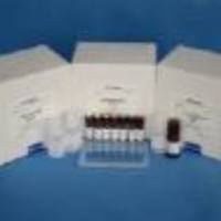 磷脂酶A2（phospholipase A2，PLA2）试剂盒