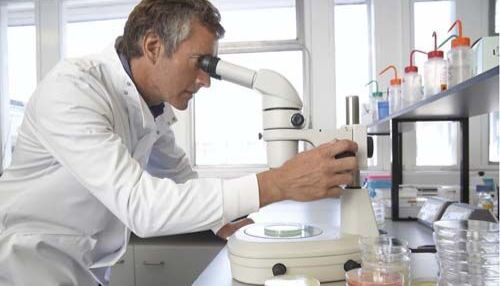 荧光原位杂交与免疫荧光的区别详解