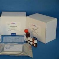 人（Human）内皮细胞特异性分子-1（Endocan/ESM-1） ELISA检测试剂盒