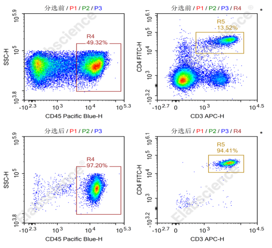 Elabscience流式课堂干货：CD3/CD28 磁珠激活 T 细胞增殖动力学实测指南