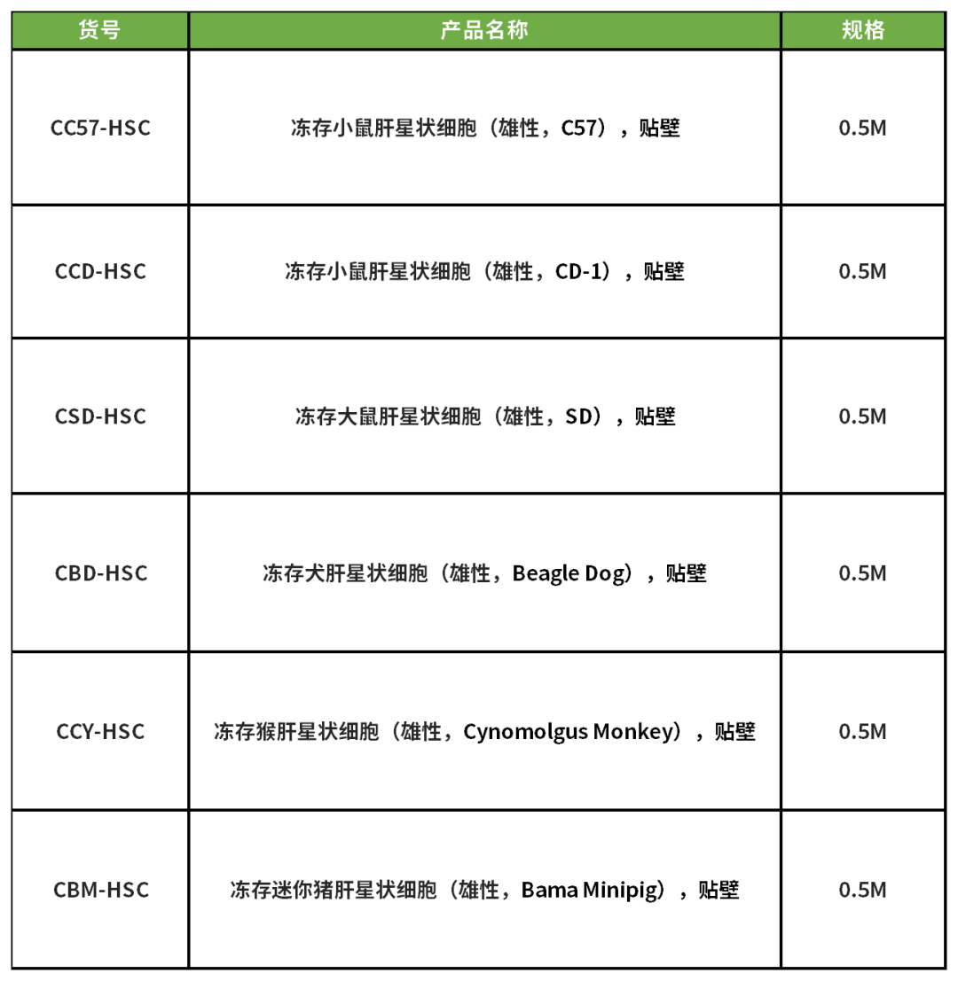 肝纤维化的“幕后黑手”竟是它?收服这只“捣蛋鬼”,你的实验稳了!(图9)