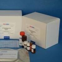 人（Human）胰高血糖素（GC）ELISA检测试剂盒