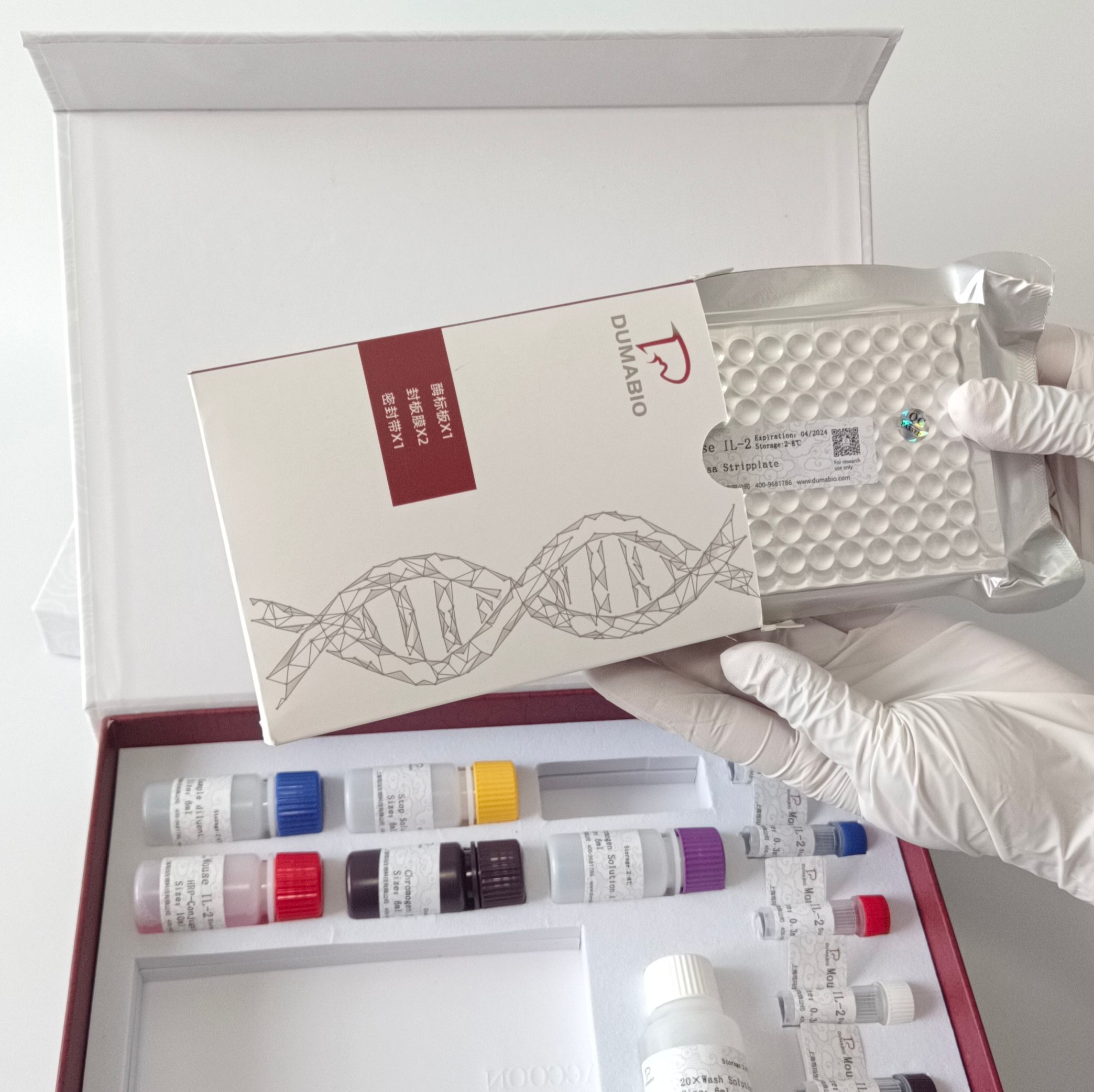 Human Herpesvirus-6(HHV-6)人疱疹病毒6型染料法荧光定量PCR试剂盒