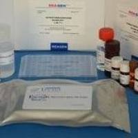 人（Human）基质金属蛋白酶9（MMP-9） ELISA检测试剂盒