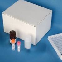 磷脂酶 A2（phospholipase A2，PLA2）试剂盒说明书