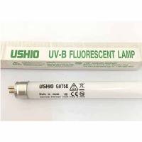 254nm365nm312nm紫外灯管