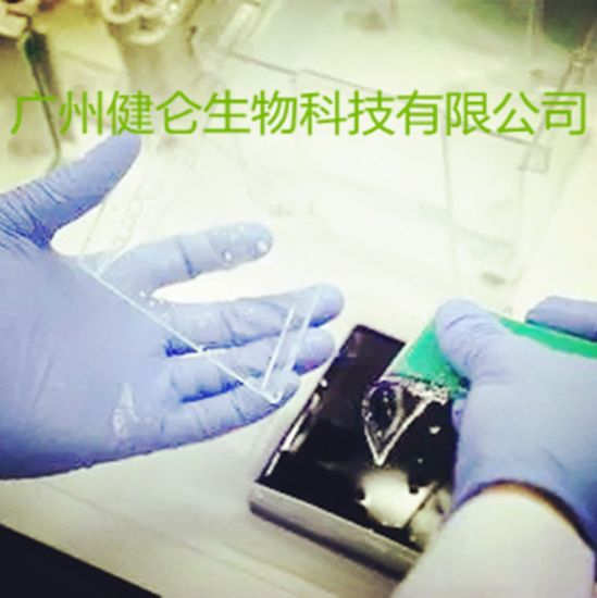 Q热立克次体IgM免疫检测试剂盒(IFA荧光玻片法)