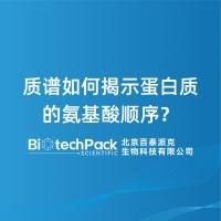 质谱如何揭示蛋白质的氨基酸顺序？