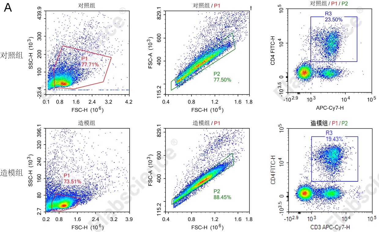 多色流式细胞术精准解析效应 CD4+ T 细胞，Elabscience揭秘 Th1/Th2/Th17/Treg 免疫应答平衡密码