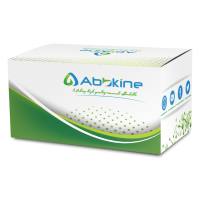 EliKine™ 大鼠Noradrenaline (NE) ELISA定量试剂盒（一步法）