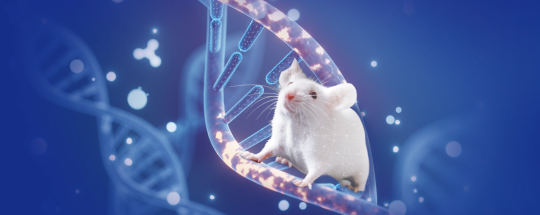 基因修饰原发肿瘤小鼠模型，为您的科研一键加速！