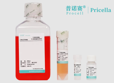 普诺赛平滑肌细胞培养基（适用于人和大鼠）：细胞生物学优选