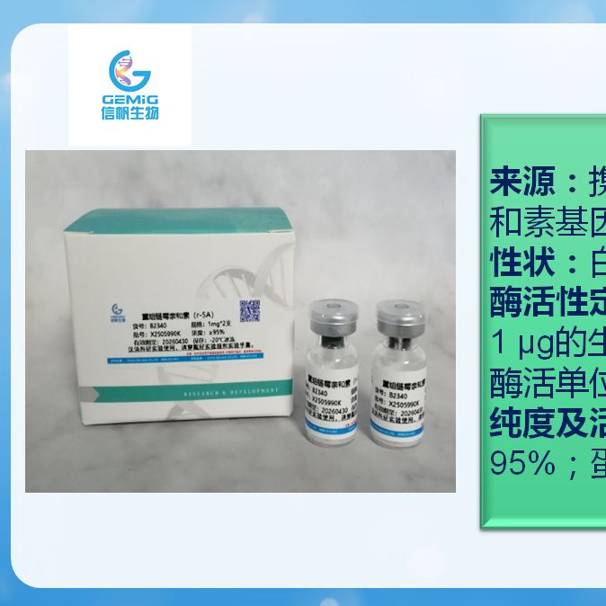 重组链霉亲和素SA