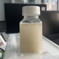 人血清白蛋白，人白蛋白 （Human auman）