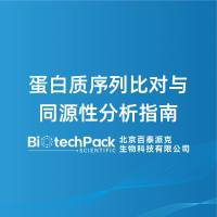蛋白质序列比对与同源性分析指南
