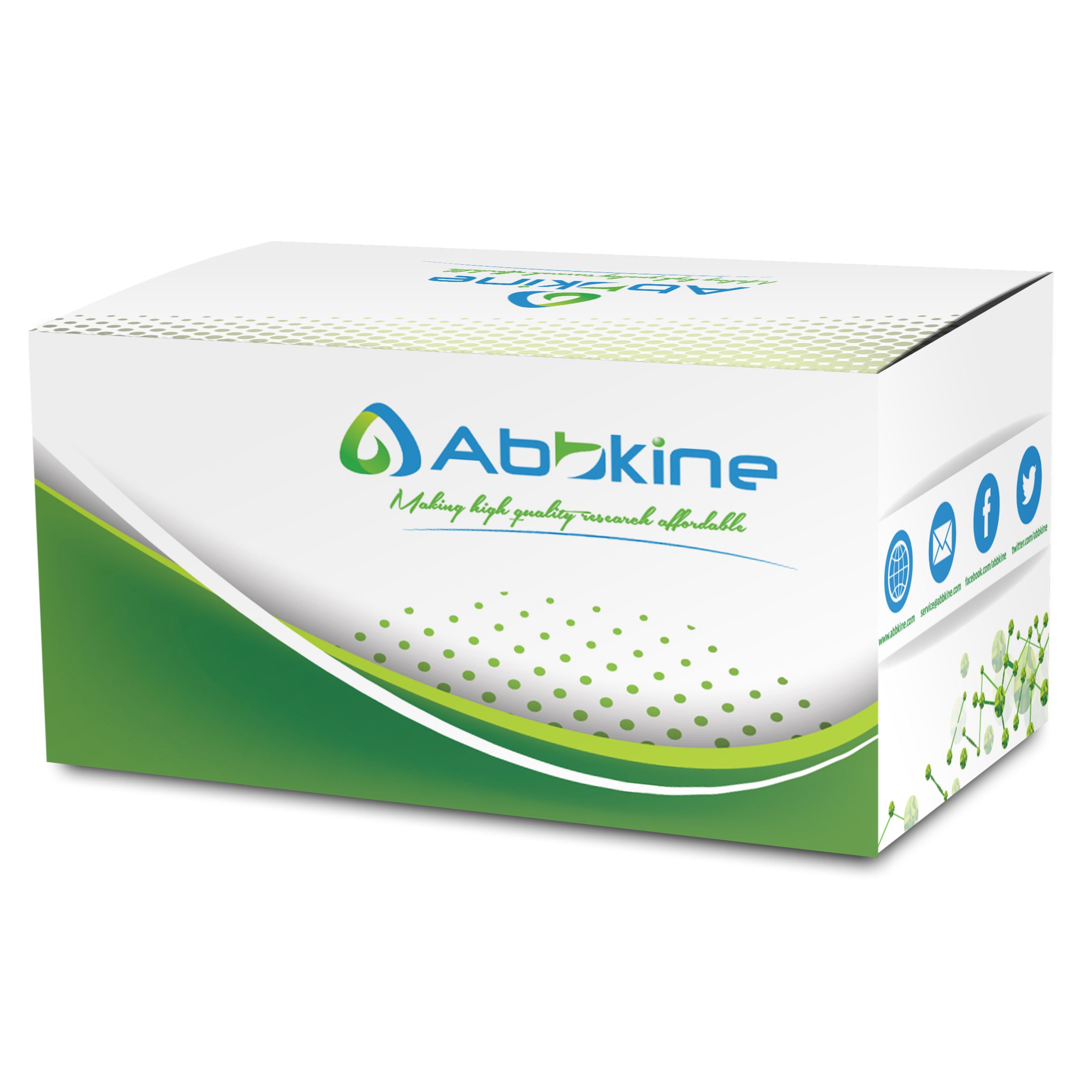 通用型免疫荧光(IF)工具箱(抗兔Dylight 594)