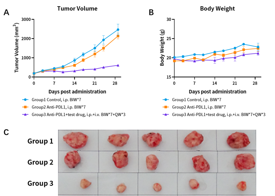 基因修饰原发肿瘤小鼠模型，为您的科研一键加速！