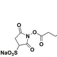 Sulfo-SANPAH Crosslinker 100 mg