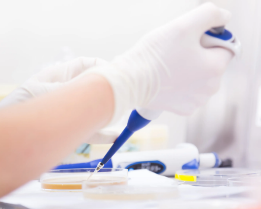 ELISA实验洗涤技术要点大盘点