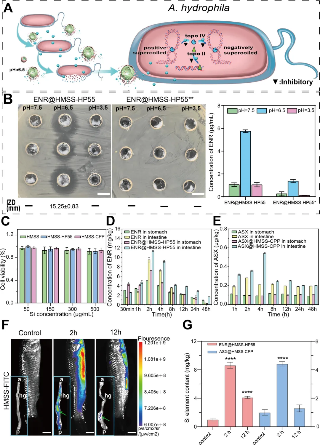恭喜！IF 13.4的中科院1区Top期刊！《Chemical Engineering Journal》已成功发表！