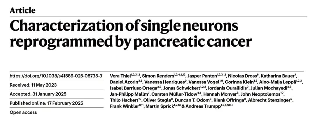 Nature 丨组织透明化三维成像揭示正常胰腺和胰腺癌组织神经分布差异