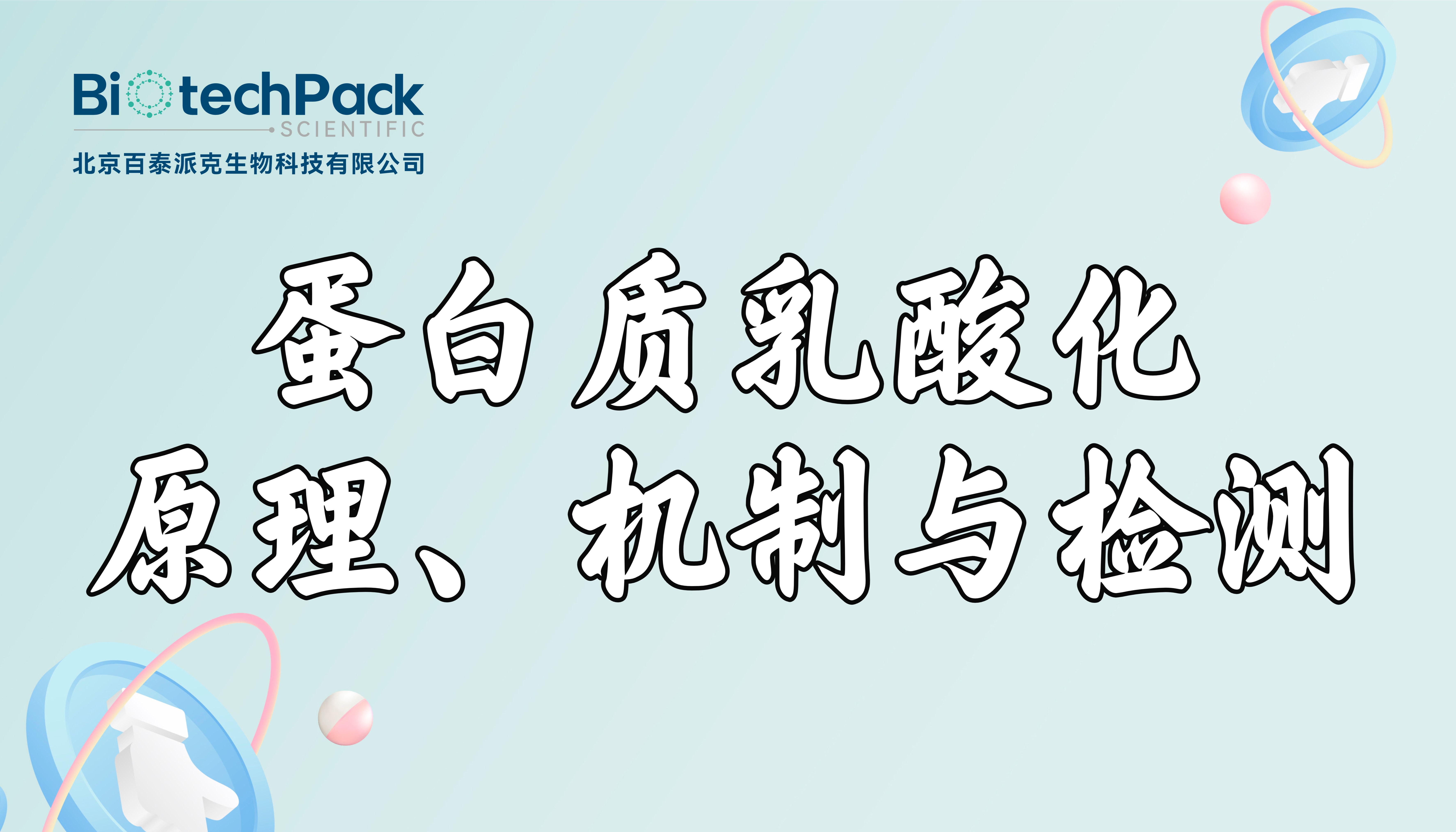 蛋白质乳酸化：原理、机制与检测