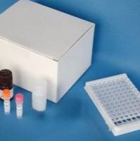 大鼠（Rat）血清铁（SI）ELISA检测试剂盒