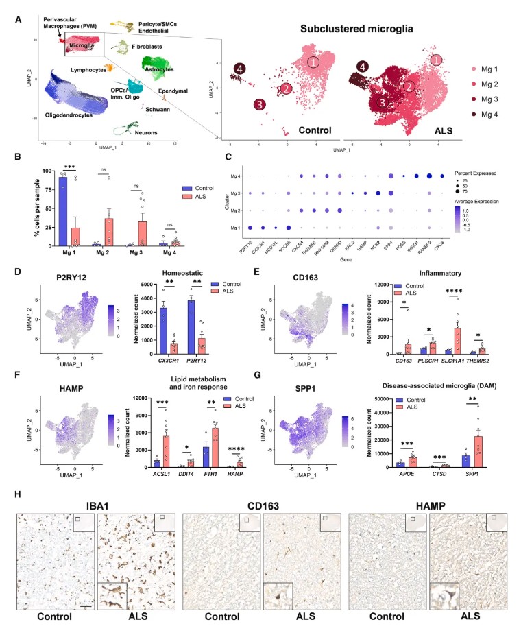 Immunity(IF=25.5)| iPSC与单细胞转录组双剑合璧,共同揭示RIPK1信号在ALS发病机制中的作用
