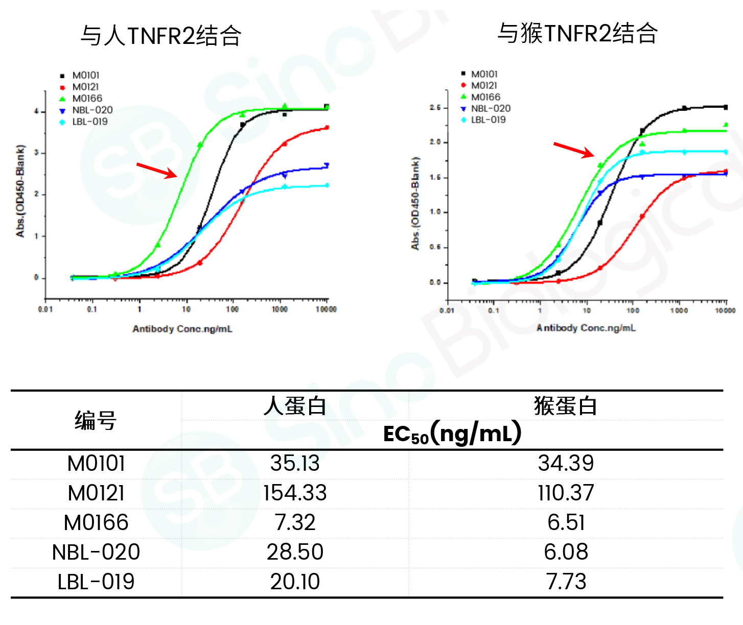 数据说话！揭秘兔单克隆抗体开发技术的核心优势【可一键咨询技术专家】