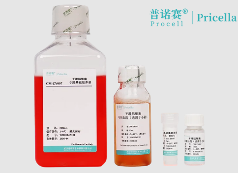 普诺赛®小鼠平滑肌细胞培养基 | 高性能科研专用培养系统