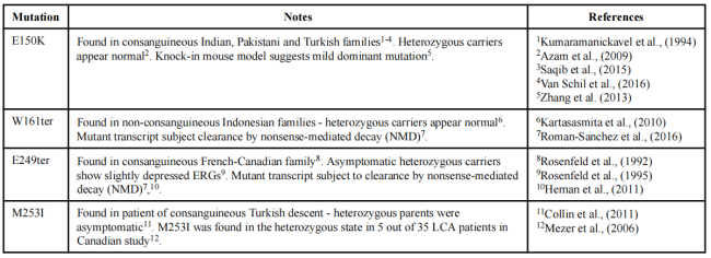 眼科模型新成员：常染色体隐性视网膜色素变性（arRP）——Rho KO小鼠