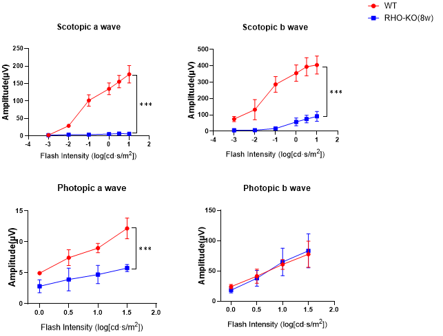 眼科模型新成员：常染色体隐性视网膜色素变性（arRP）——Rho KO小鼠