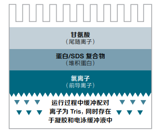 图片包含 图示

AI 生成的内容可能不正确。, Picture