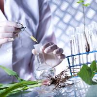 植物全碳含量测定