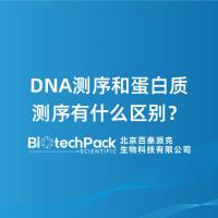 DNA测序和蛋白质测序有什么区别?