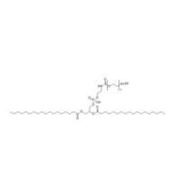DSPE-PEG-R9GPLGLAGE8 DSPE-PEG-ACPP ACPP-PEG-DSPE 磷脂-聚乙二醇-MMP-2 敏感激活的细胞穿透肽