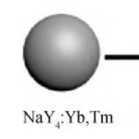 负载美洛昔康的羟丙基-β-环糊精纳米颗粒 Meloxicam@HP-βCD