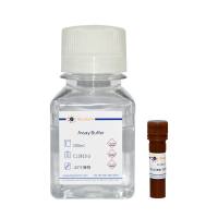 死细胞绿色荧光染色试剂盒(Nuclear Green)