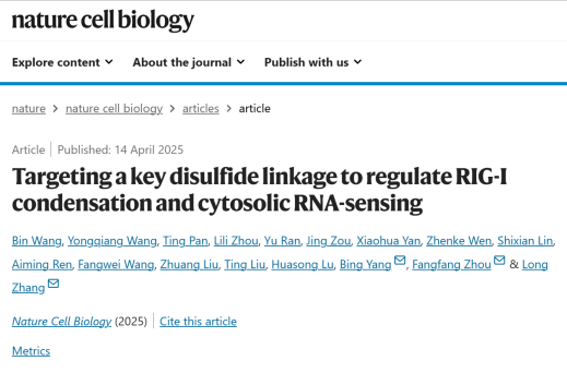 Nature Cell Biology：浙江大学张龙团队揭示二硫键调控抗病毒免疫机制
