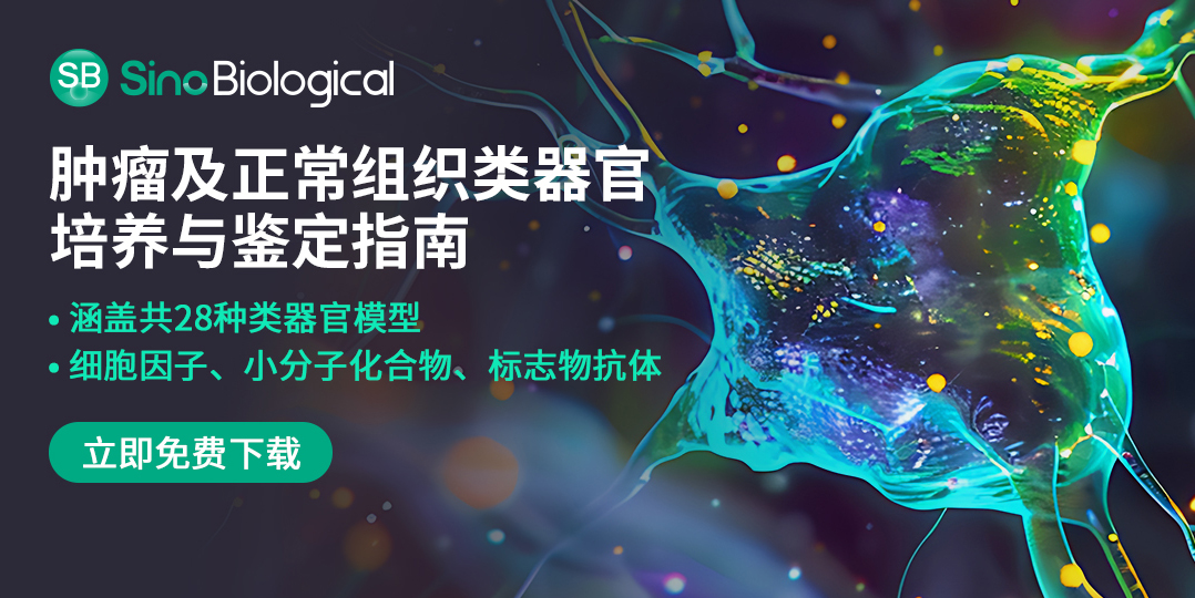 肿瘤类器官如何“替身试药”，迈入癌症精准治疗新纪元【附培养与鉴定指南】