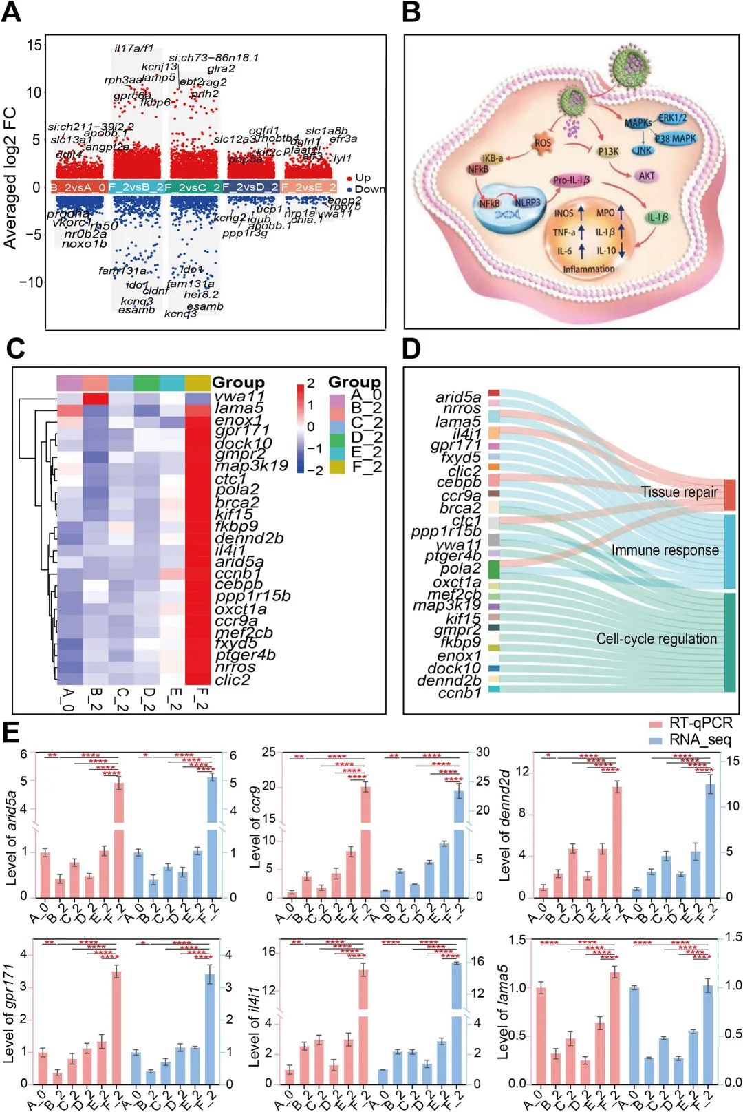 恭喜！IF 13.4的中科院1区Top期刊！《Chemical Engineering Journal》已成功发表！