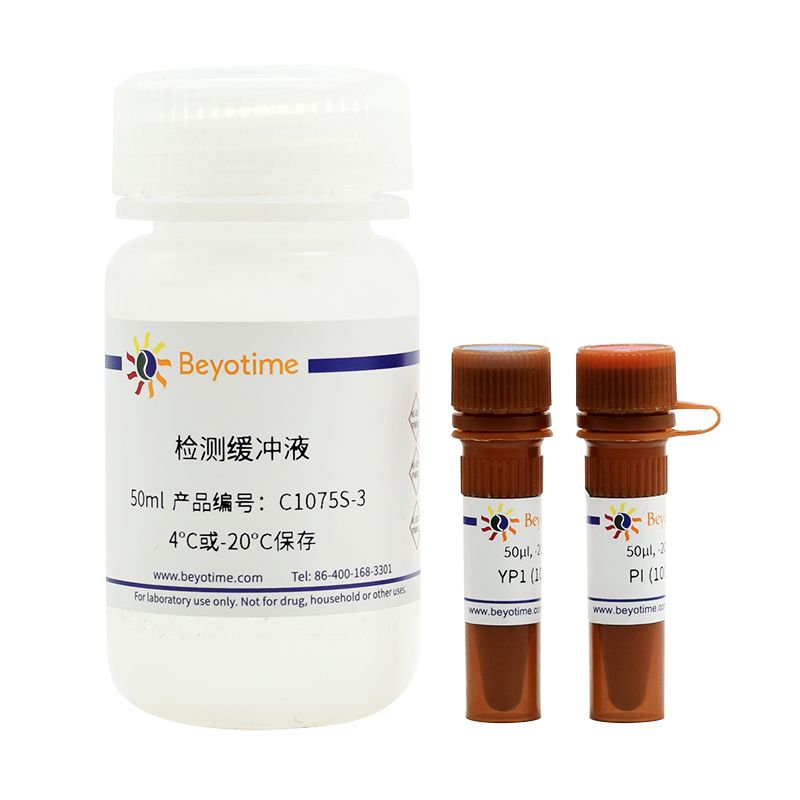 YO-PRO-1/PI细胞凋亡与坏死检测试剂盒