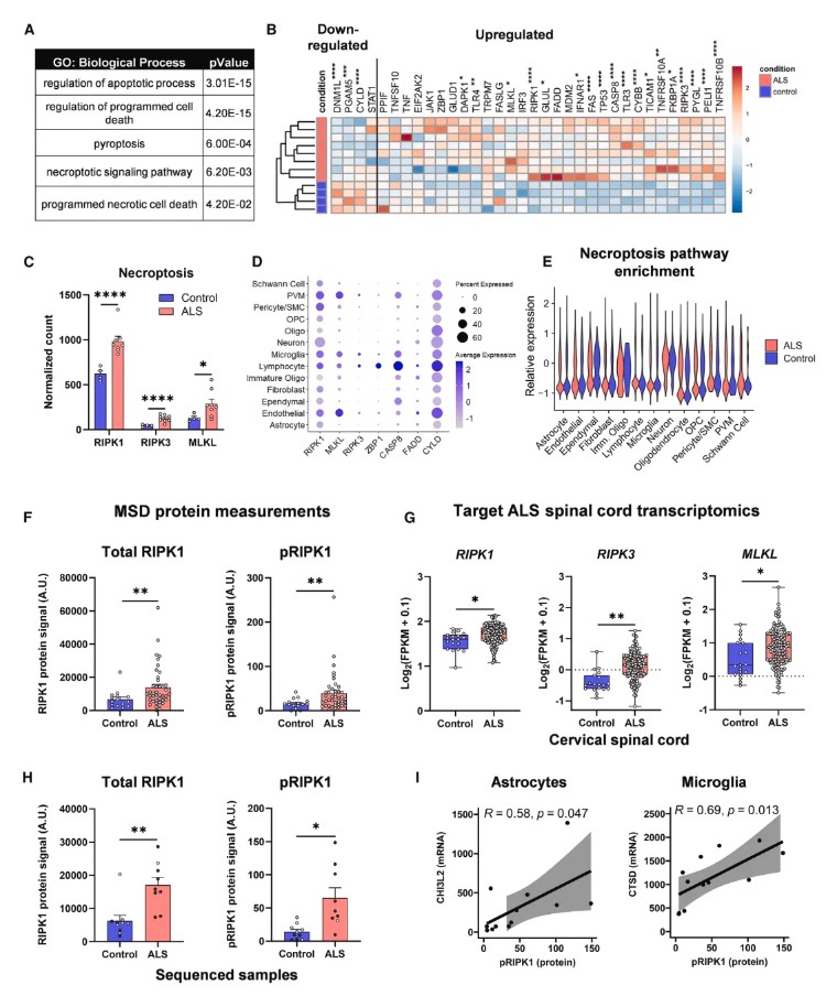 Immunity(IF=25.5)| iPSC与单细胞转录组双剑合璧,共同揭示RIPK1信号在ALS发病机制中的作用
