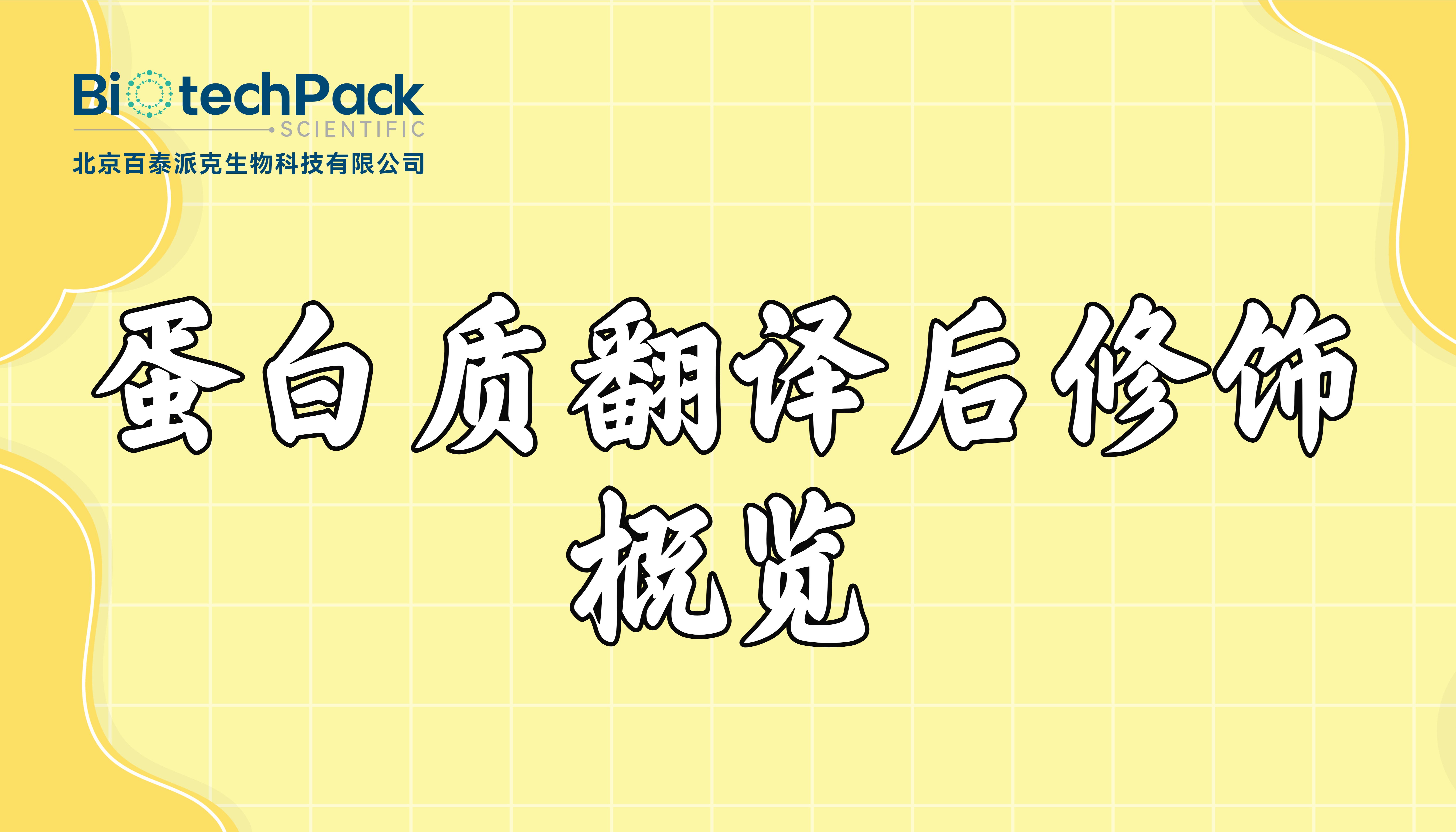 蛋白质翻译后修饰概览